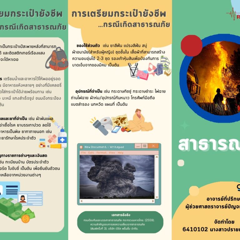 สาธารณภัย_STIN_1