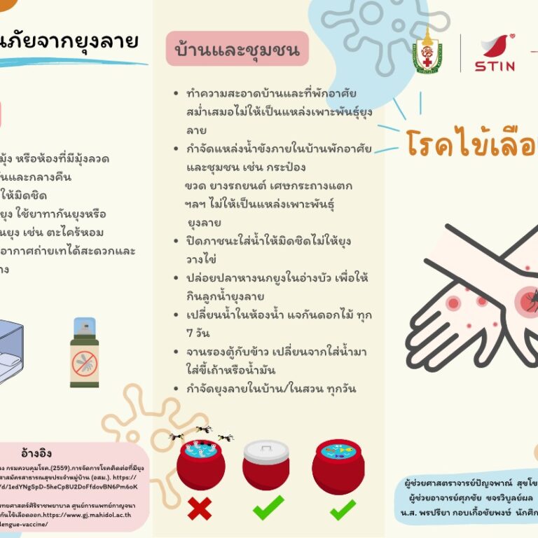ไข้เลือดออก_STIN_1-1